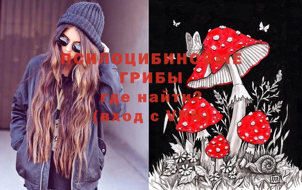 прущий лед Армянск