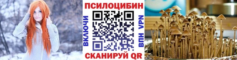 дарк нет формула  что такое   Хотьково  Псилоцибиновые грибы GOLDEN TEACHER 